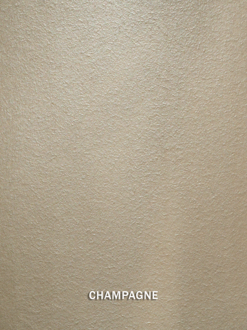 Champagne Metallic Paint