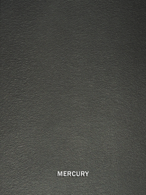 Mercury Metallic Paint