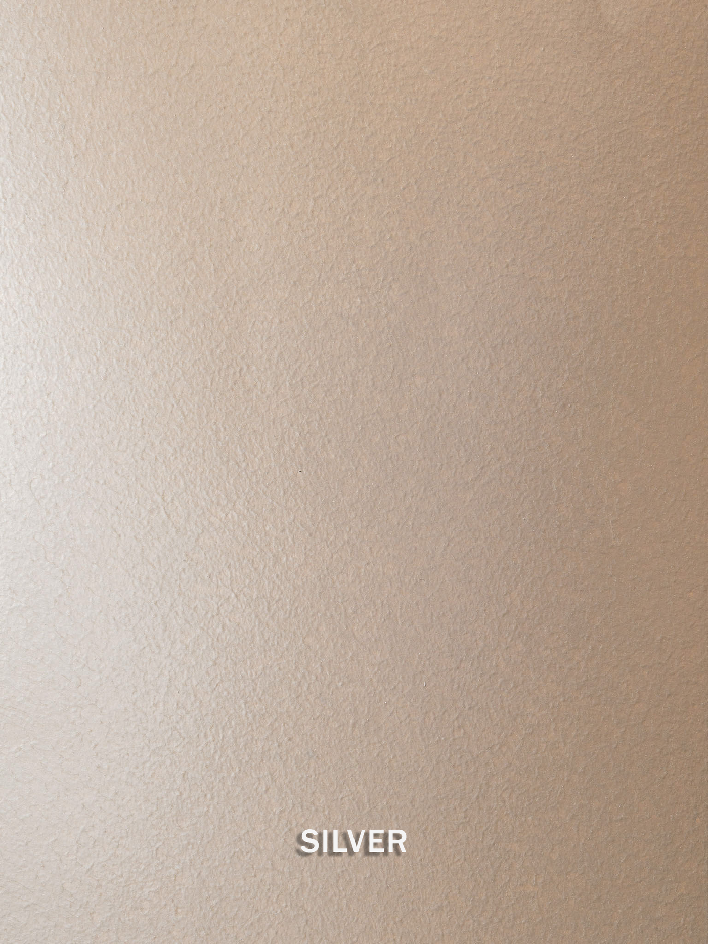 Silver Metallic Paint enlarged